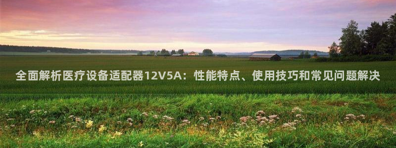<h1>hv128鸿运国际阿里尔公司</h1>全面解析医疗设备适配器12V5A：